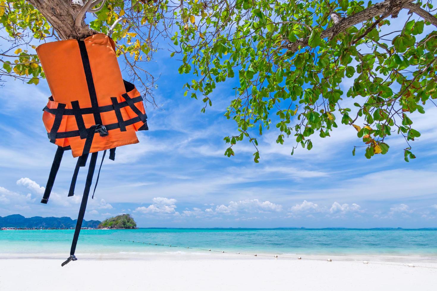 giubbotto salvagente appeso all'albero sulla bellissima spiaggia, krabi phuket thailandia foto