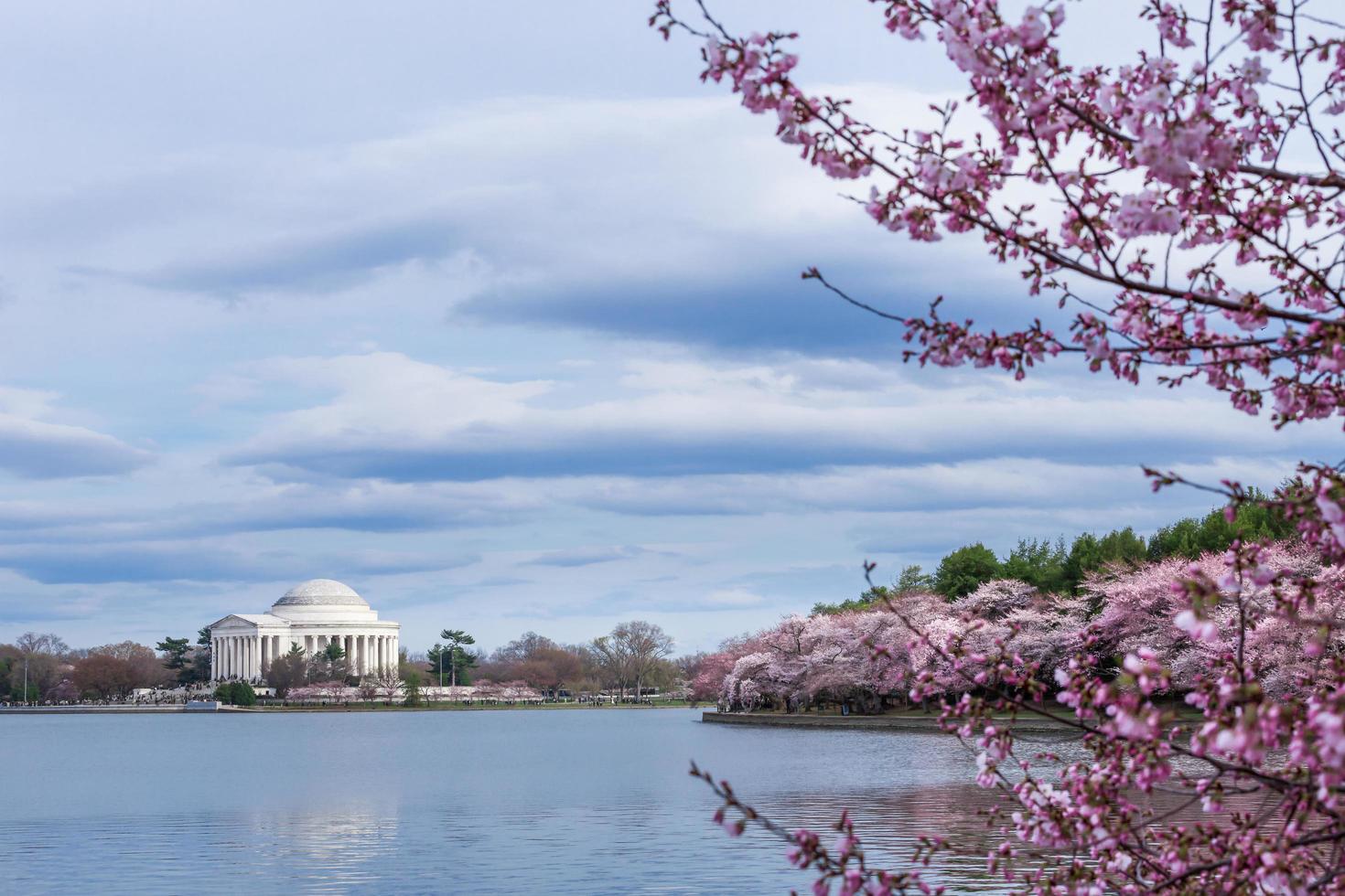 memoriale di thomas jefferson durante il festival dei fiori di ciliegio al bacino di marea, washington dc, usa foto