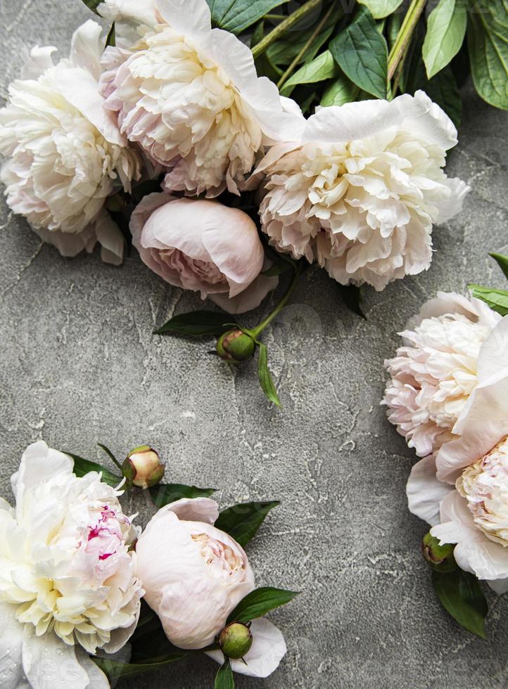 fiori di peonia su uno sfondo grigio cemento foto