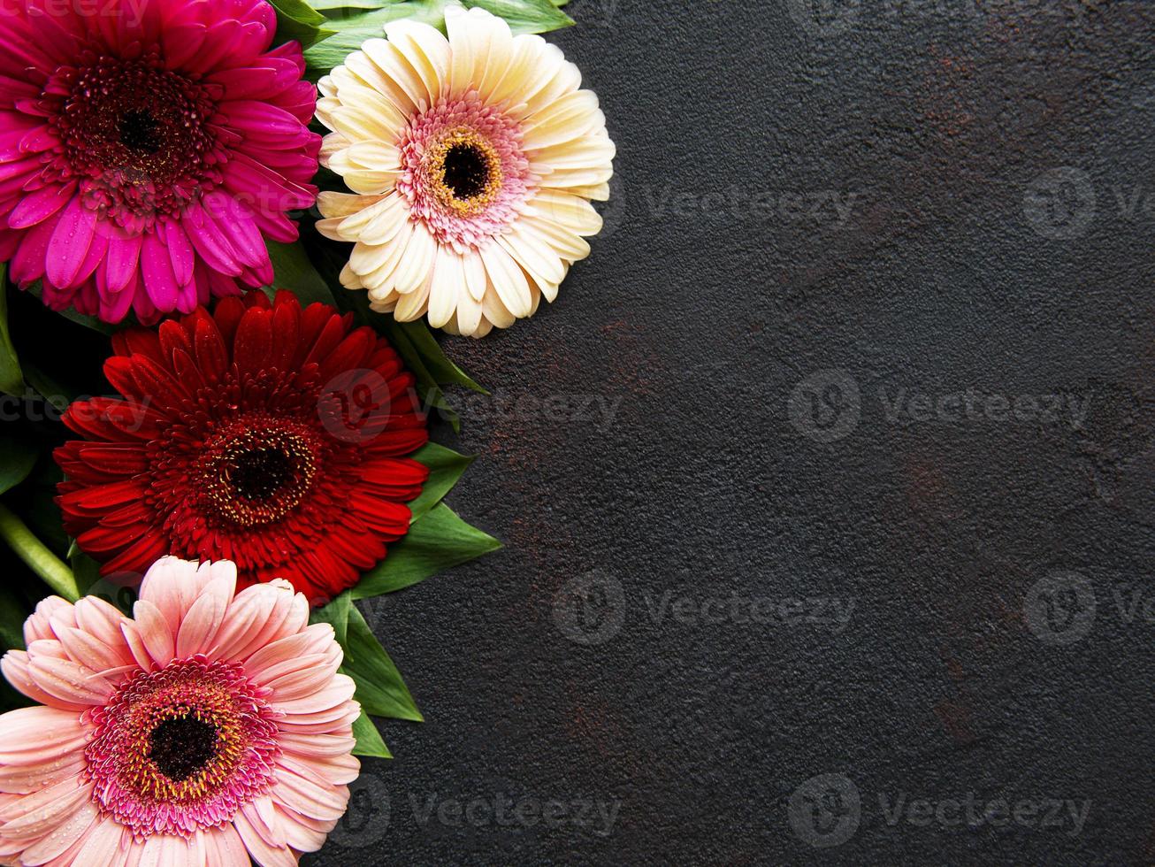 fiori di gerbera luminosi su sfondo nero foto