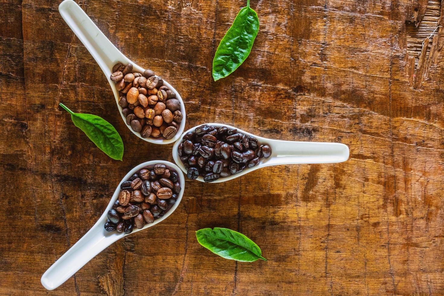 un collage di chicchi di caffè in cucchiaio che mostra le varie fasi fino alla tostatura foto