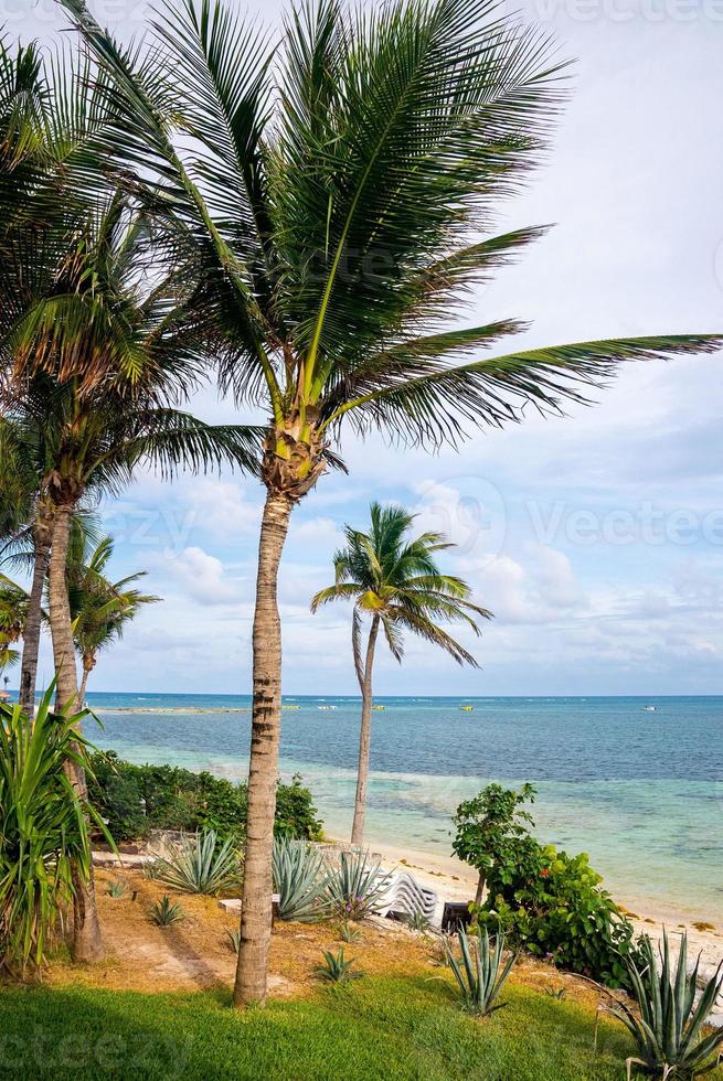 vista panoramica della spiaggia di tulum con palme contro il cielo nuvoloso foto