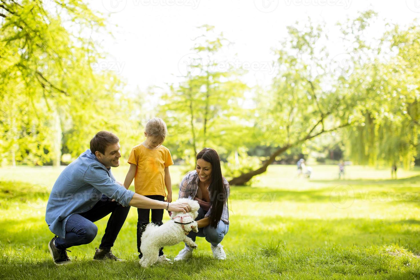 la bella famiglia felice si diverte con il cane bichon all'aperto foto