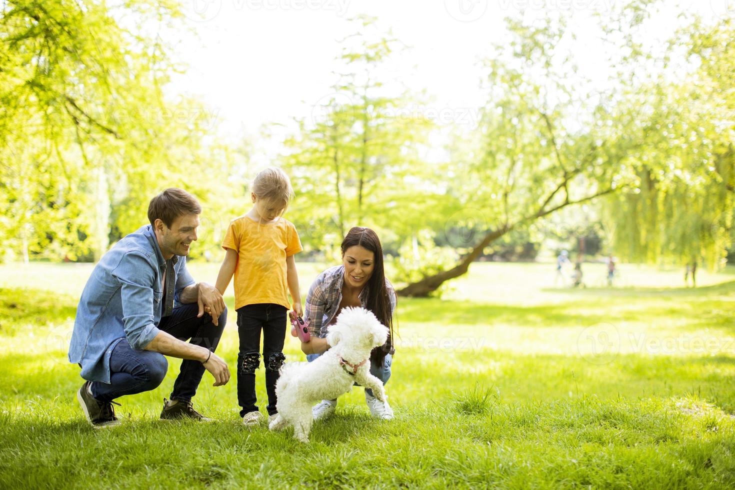 la bella famiglia felice si diverte con il cane bichon all'aperto foto