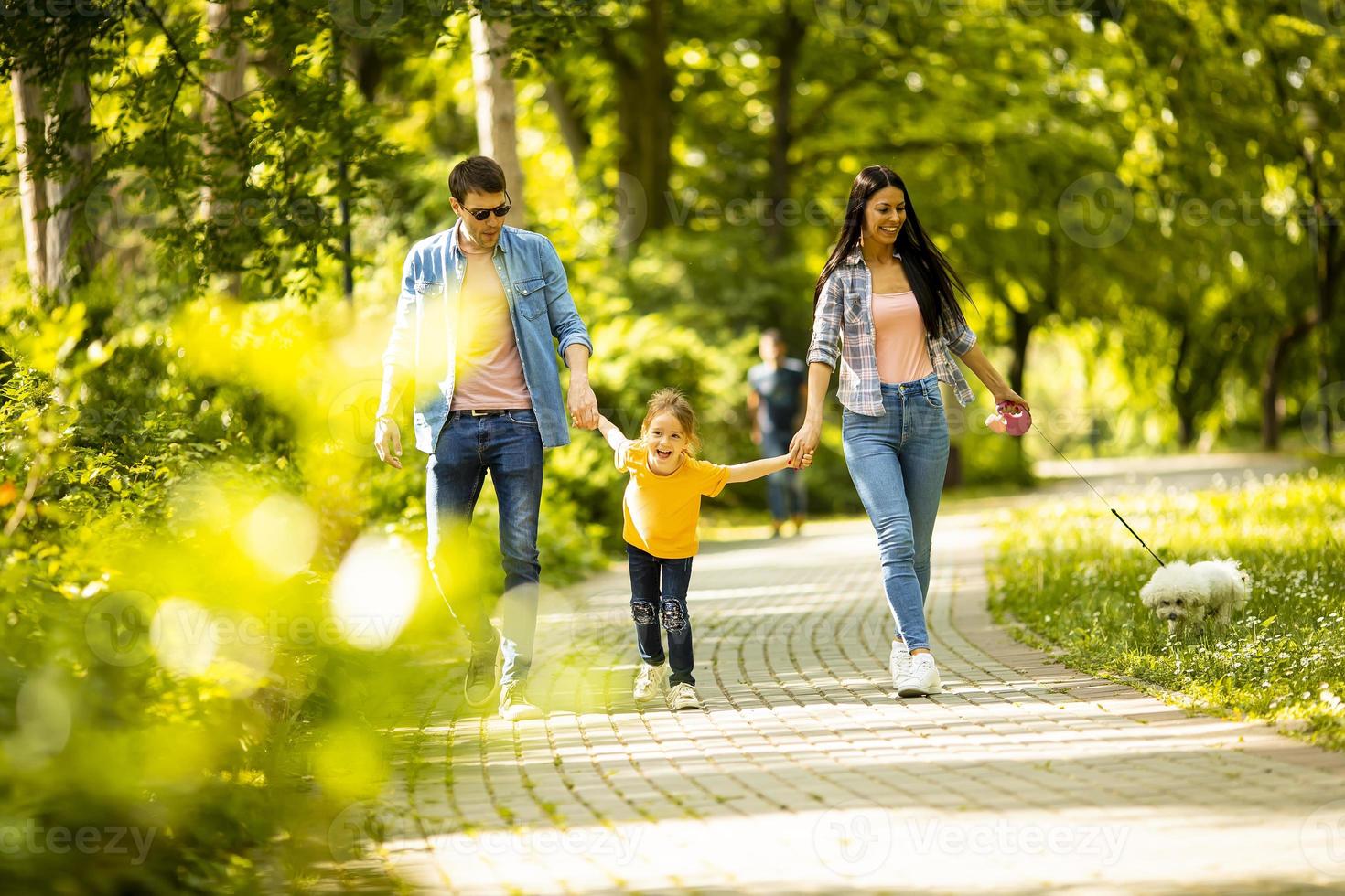 famiglia felice con simpatico cane bichon nel parco foto