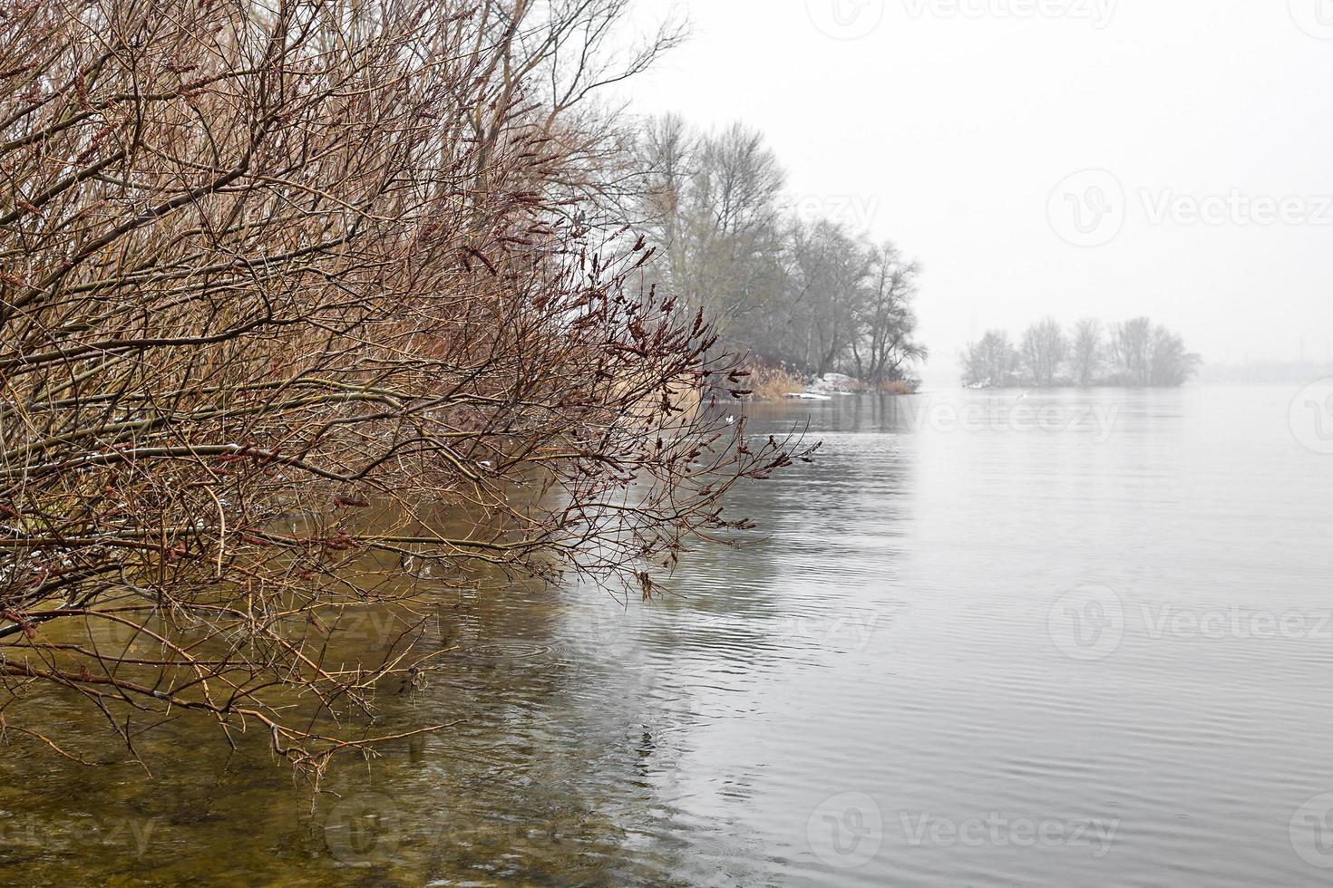 la natura del fiume e della boscaglia nella stagione fredda. foto