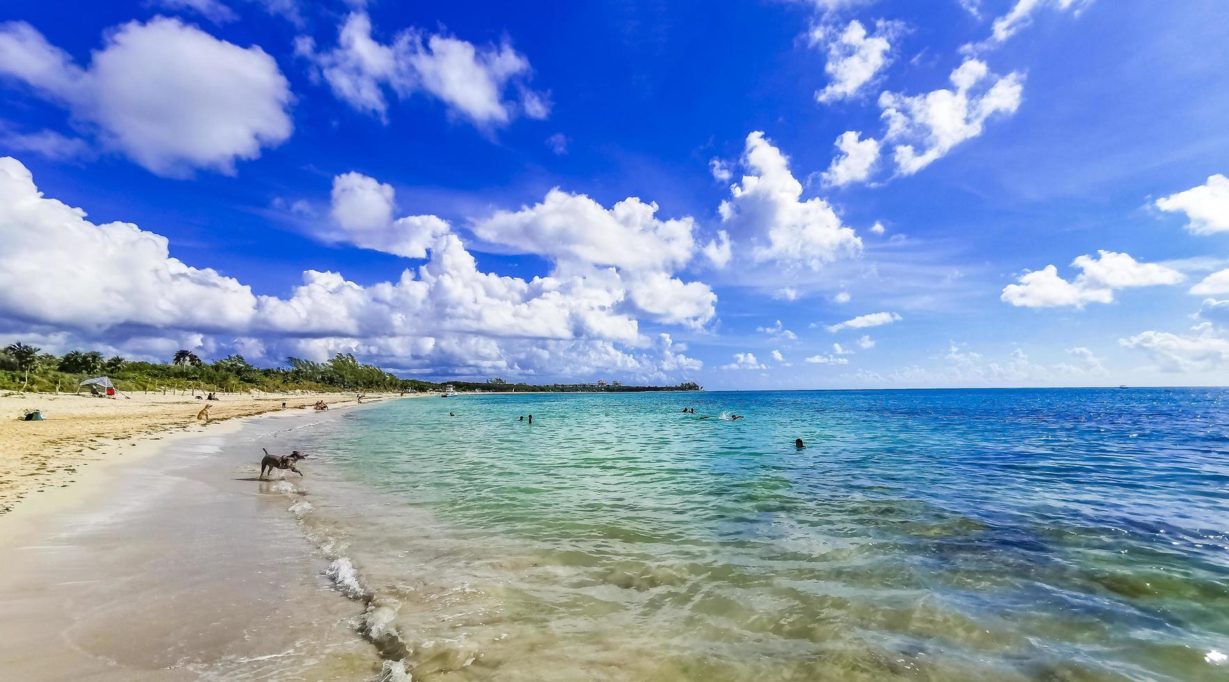 spiaggia tropicale messicana 88 punta esmeralda playa del carmen messico. foto