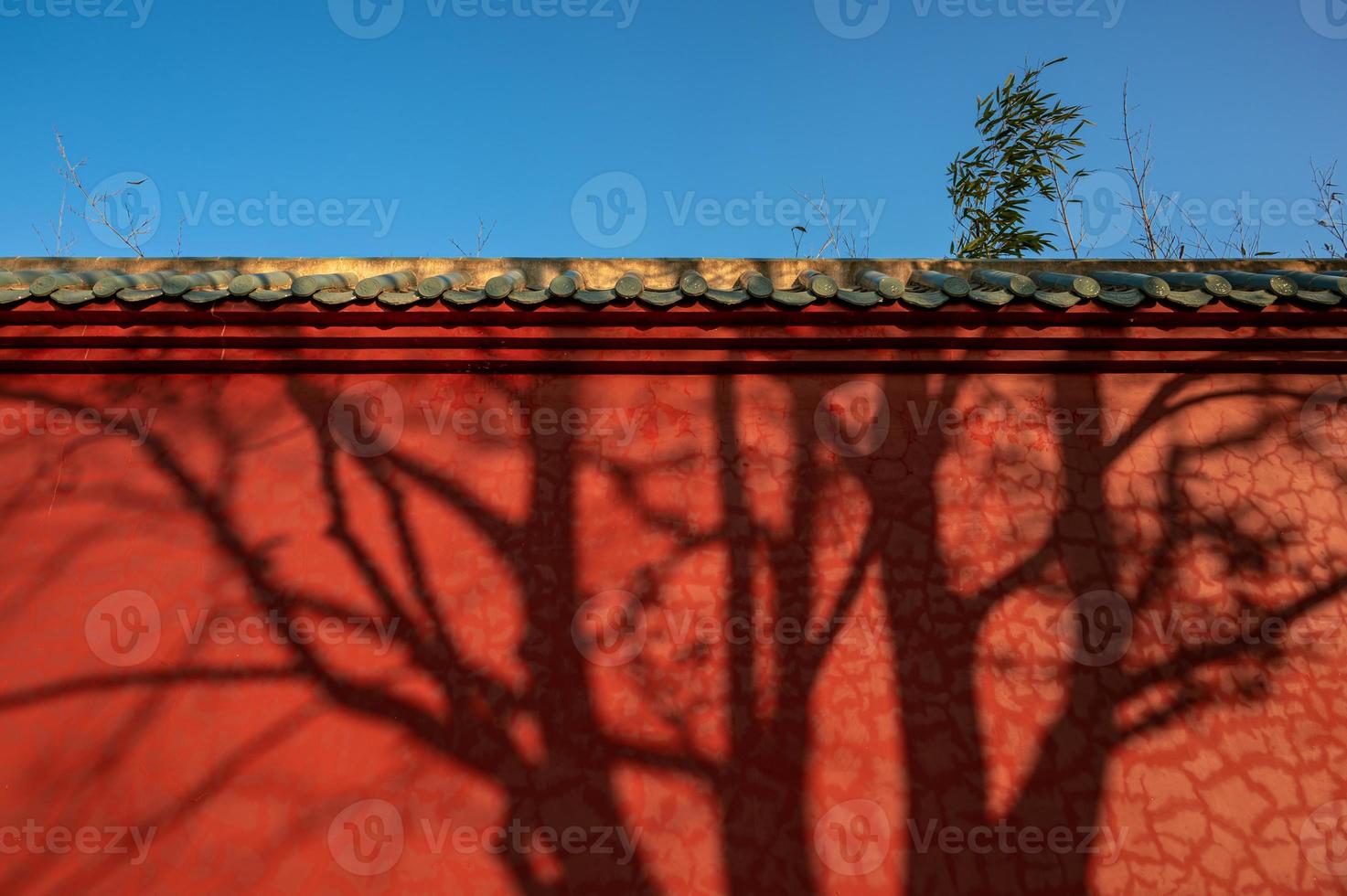 il sole proiettava l'ombra dell'albero sul muro rosso, tempio nella bella stagione. foto