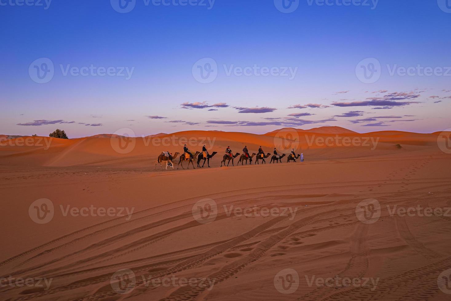 carovana di cammelli con turisti che attraversano la sabbia nel deserto foto