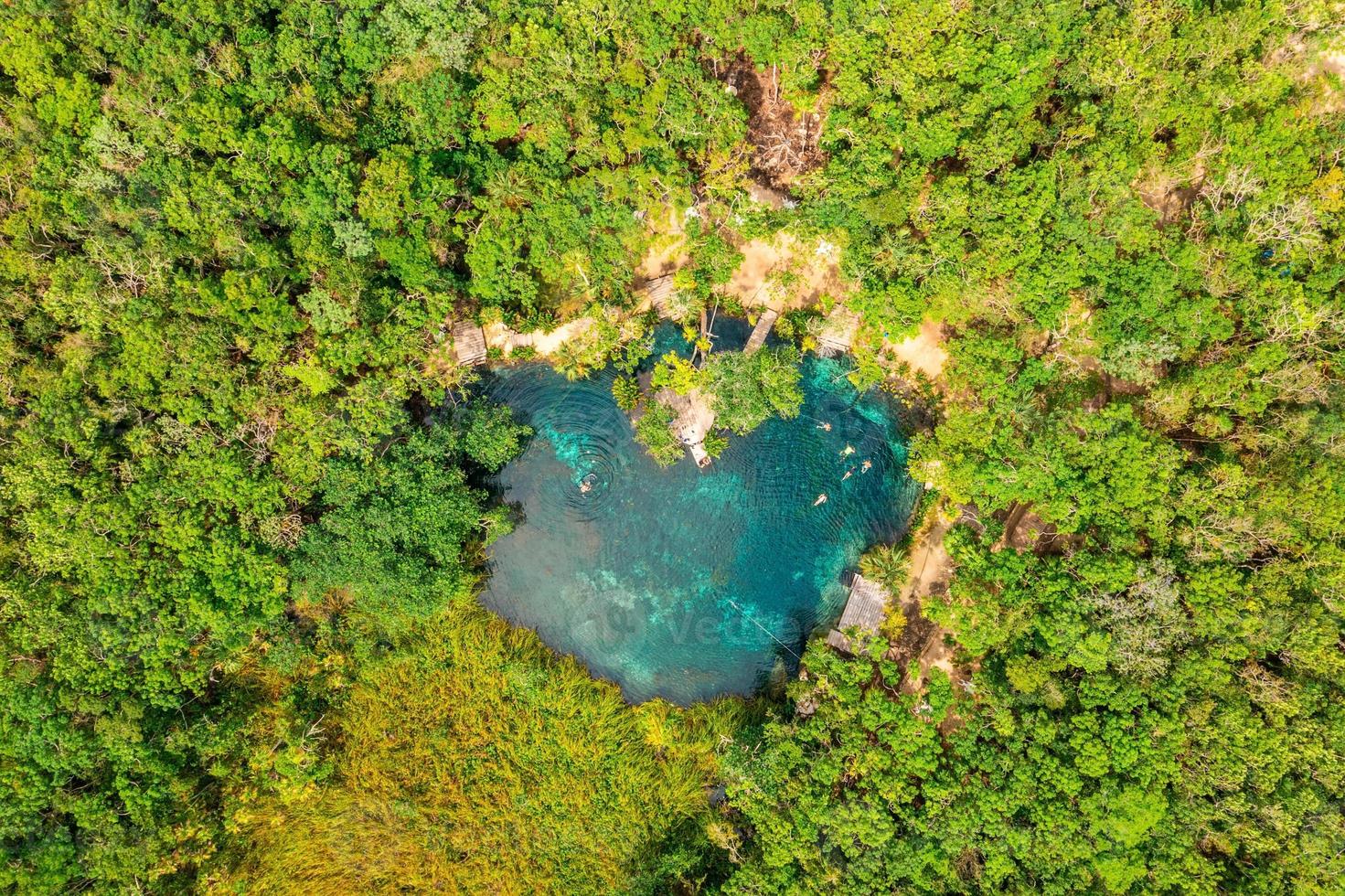 cenote a forma di cuore nel mezzo di una giungla a tulum, in messico. foto