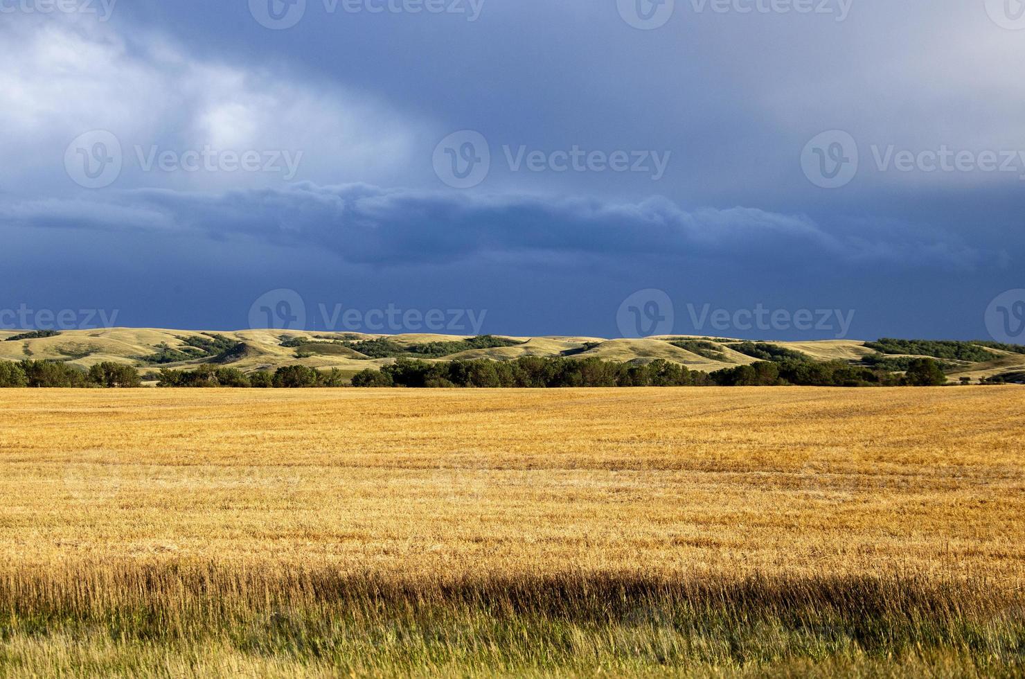 prateria nuvole temporalesche canada foto