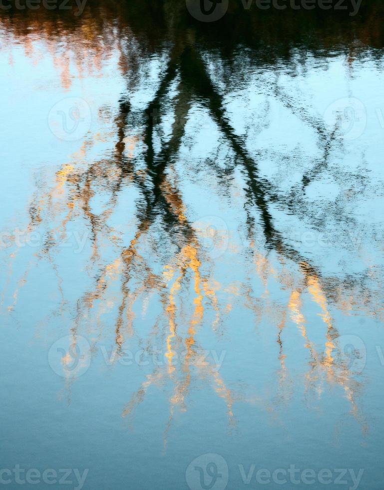 riflesso dell'albero nel fiume foto