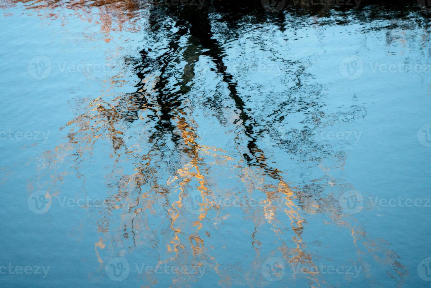 riflesso dell'albero nel fiume foto