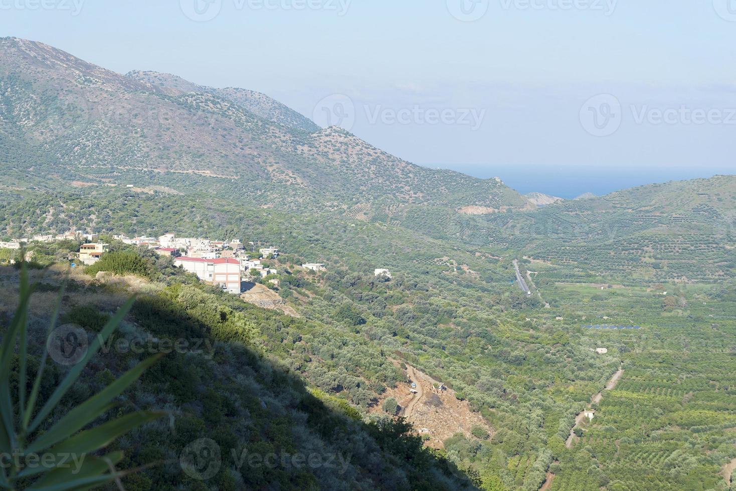 colline con cespugli in una giornata di sole. foto