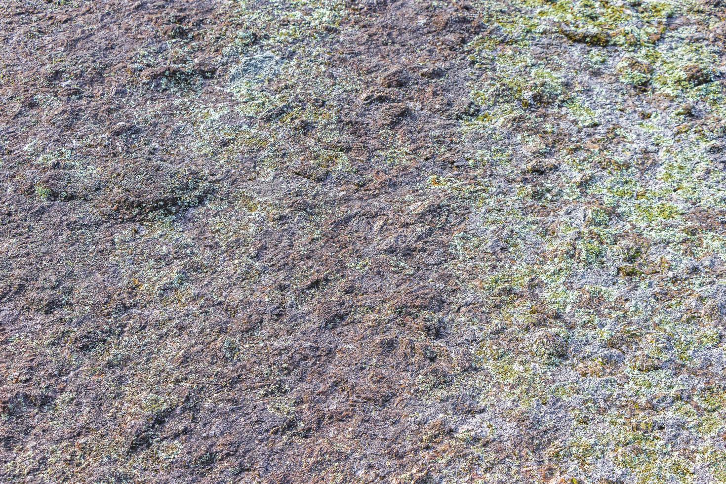 struttura della roccia di pietra con muschio verde e licheni in Brasile. foto