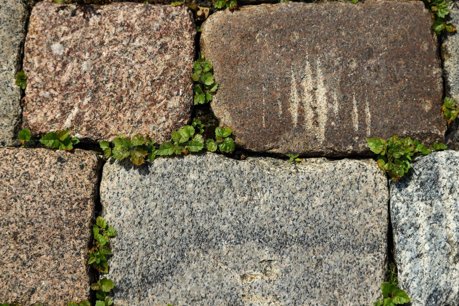 pavimentazione in mattoni di pietra rossa e grigia con erba verde tra i mattoni vista dall'alto foto