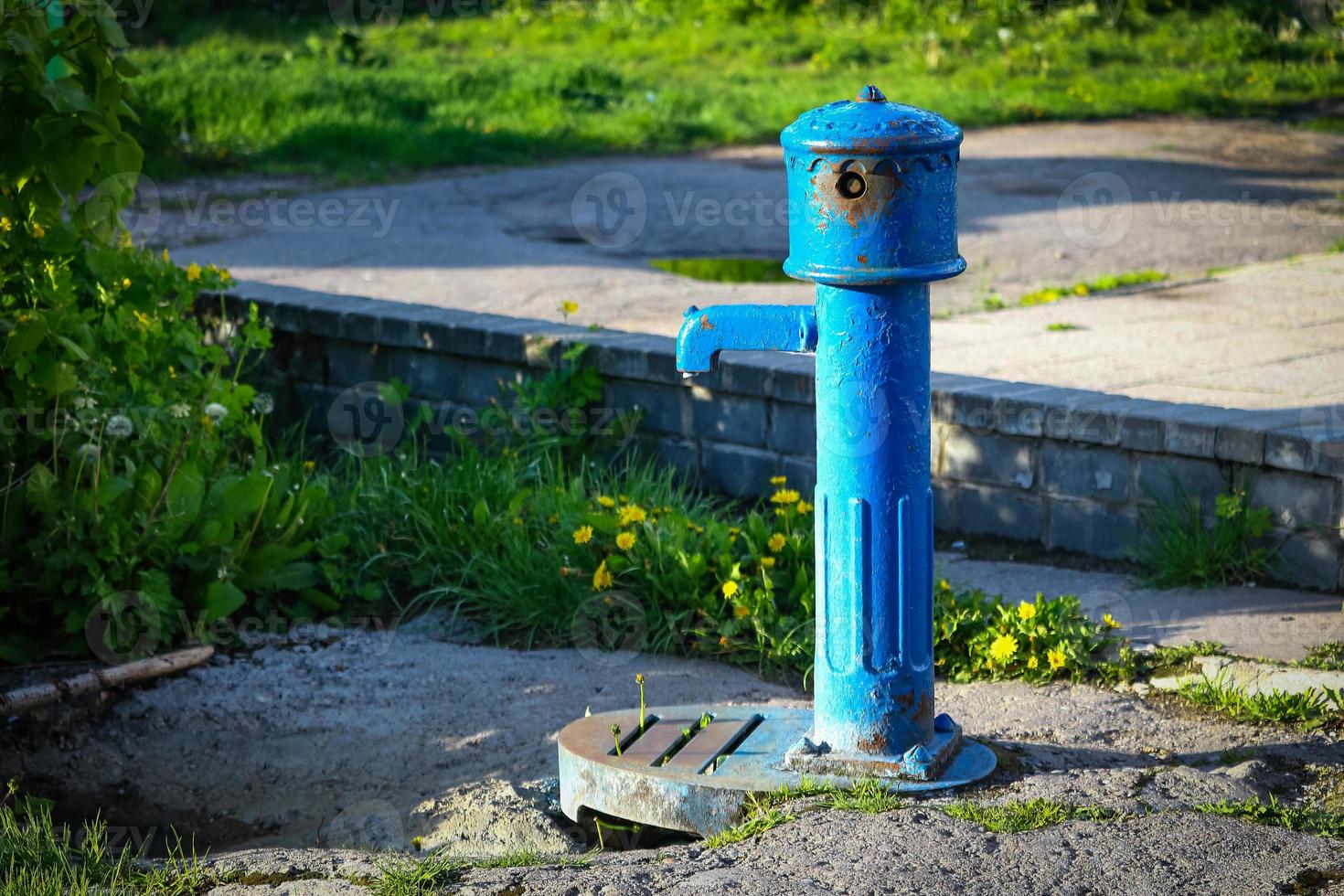 levigatura della pompa dell'acqua blu in cortile con vegetazione foto