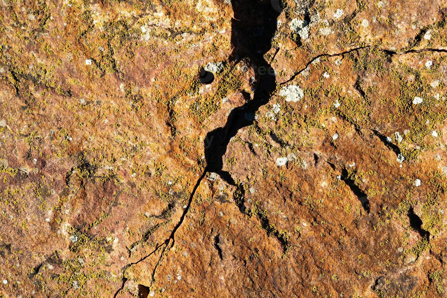 struttura incrinata e astratta del grunge. sfondo di superficie materiale invecchiato. motivo effetto stagionato. sfondo vecchio e sporco. foto