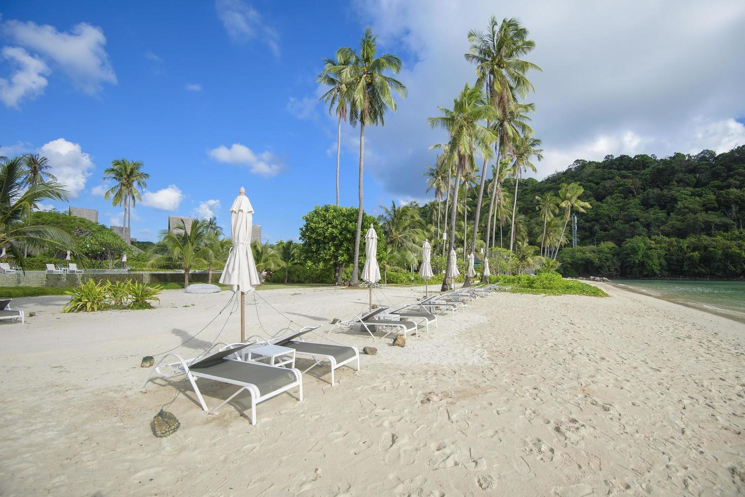 bella vista paesaggio di sedie a sdraio sulla spiaggia tropicale, il mare color smeraldo e la sabbia bianca contro il cielo blu, maya bay nell'isola di phi phi, tailandia foto