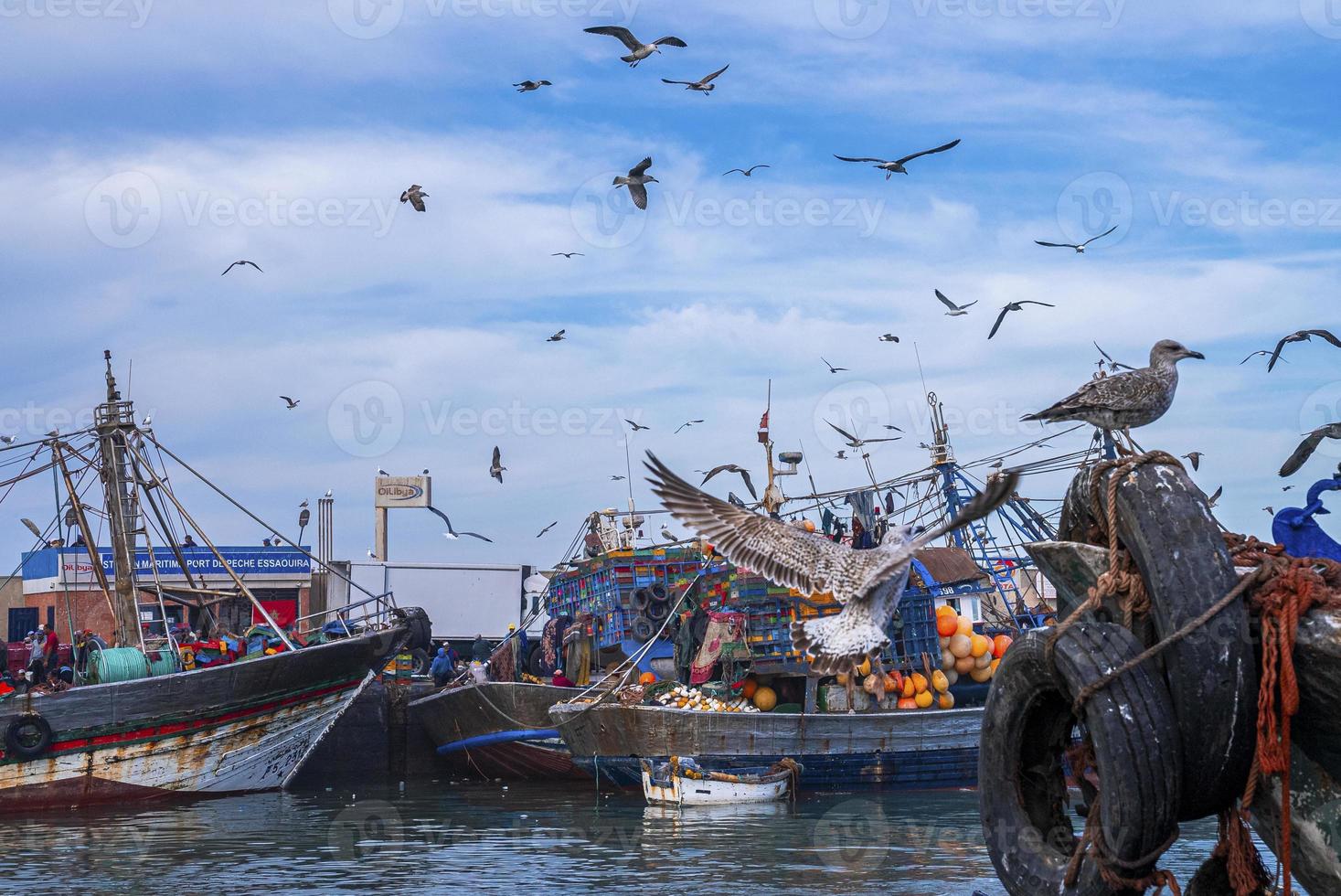 gabbiani in bilico su barche da pesca ancorate a marina contro il cielo nuvoloso foto