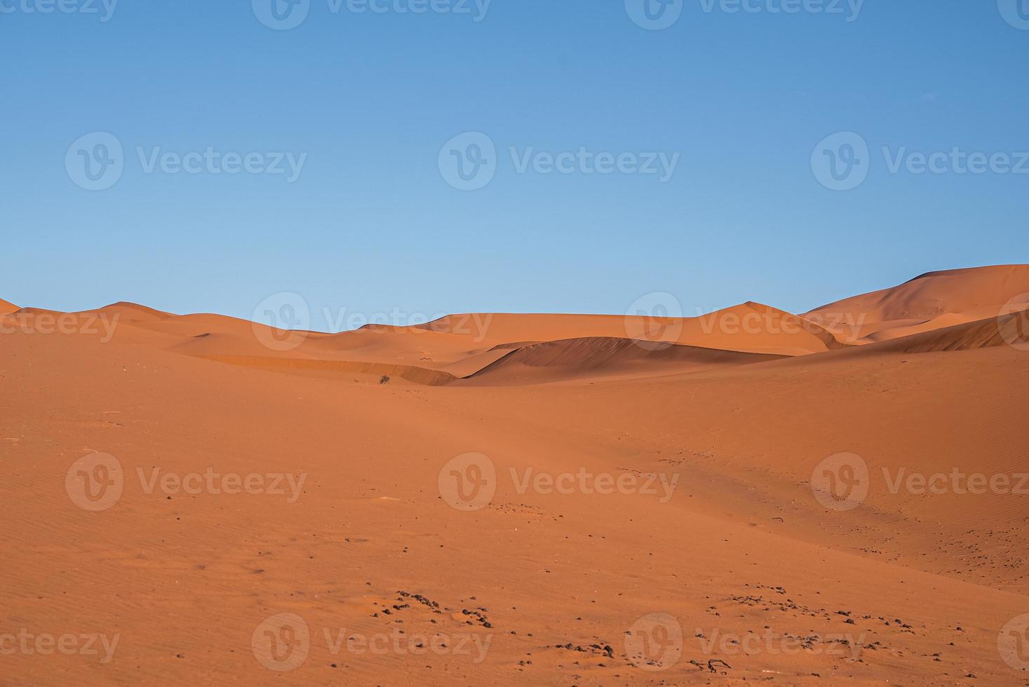 vista straordinaria delle dune di sabbia marrone nel deserto contro il cielo blu chiaro foto