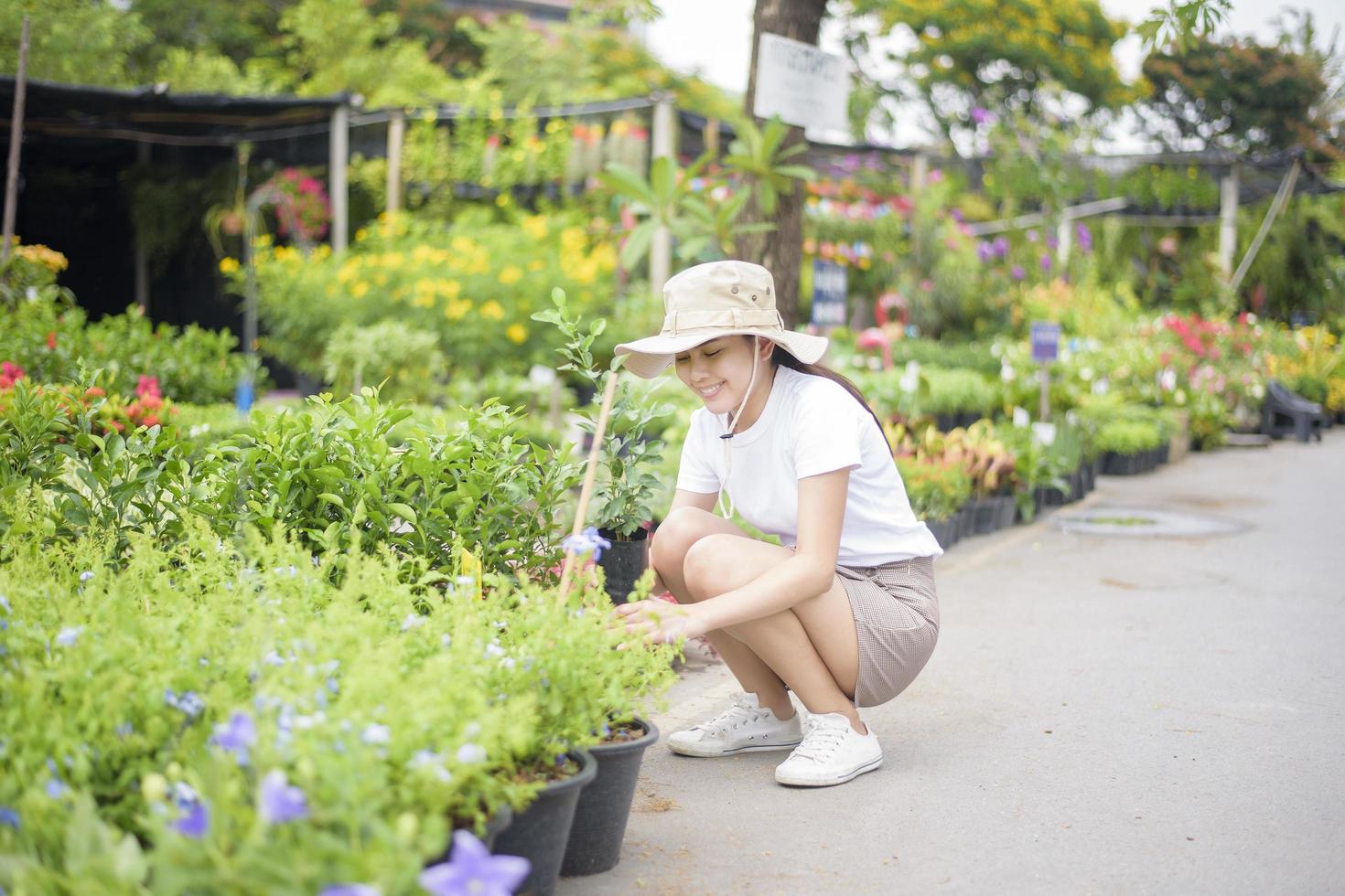 bella donna con pianta da giardinaggio in giardino foto