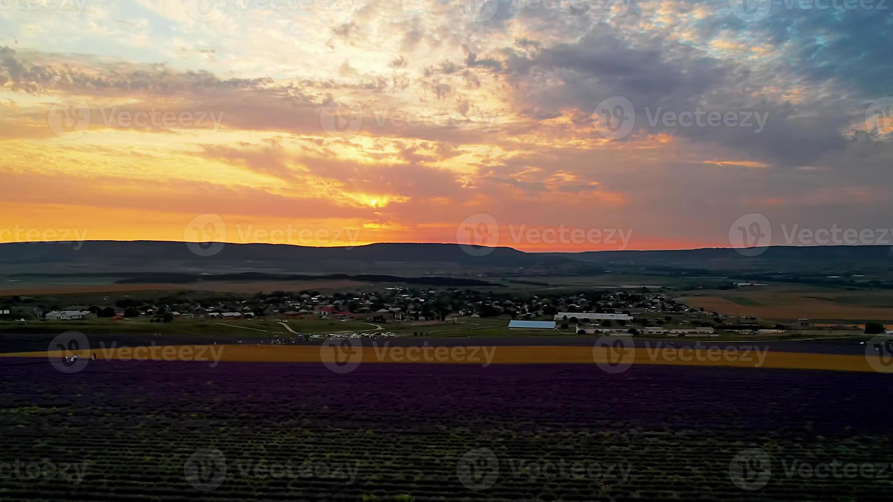 veduta aerea del paesaggio con vista sul campo di lavanda foto