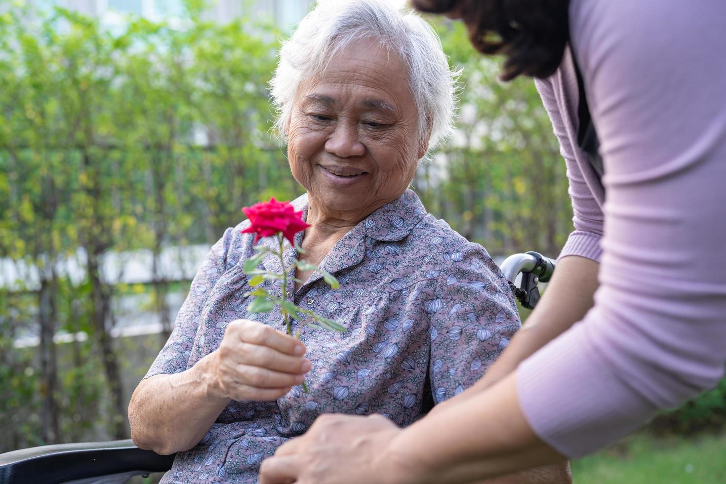 figlia del caregiver abbraccia e aiuta asiatica anziana o anziana signora anziana che tiene una rosa rossa su sedia a rotelle nel parco. foto