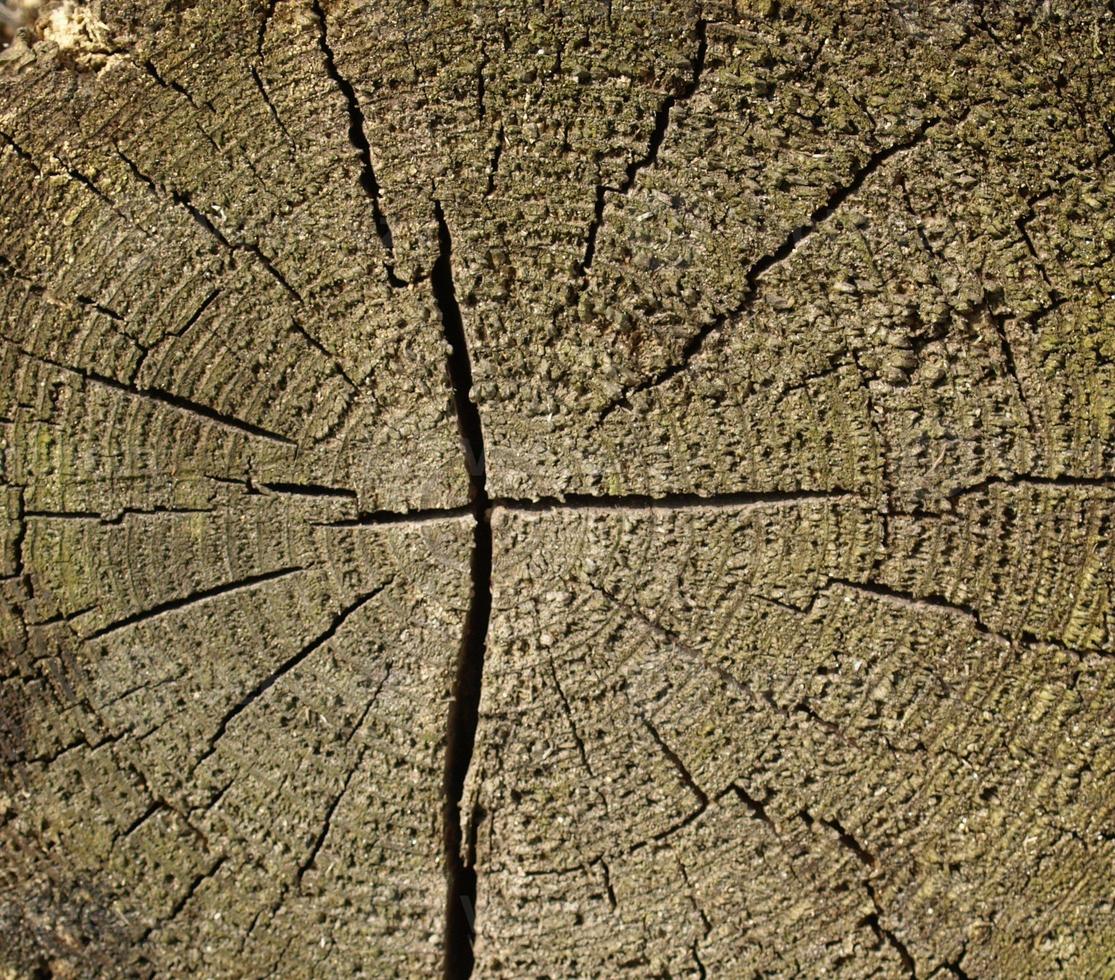 struttura di legno marrone sfondo foto