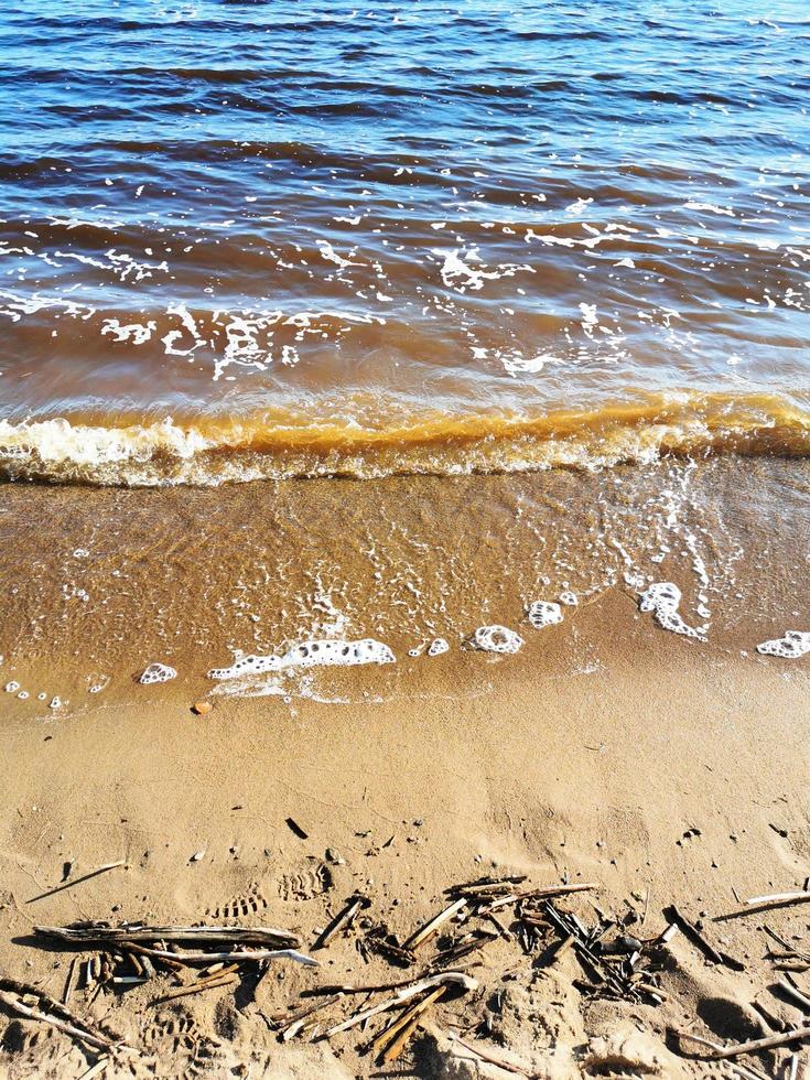 la riva sabbiosa del lago con rami secchi. spiaggia lavata in primavera. la riva è inondata d'acqua. foto