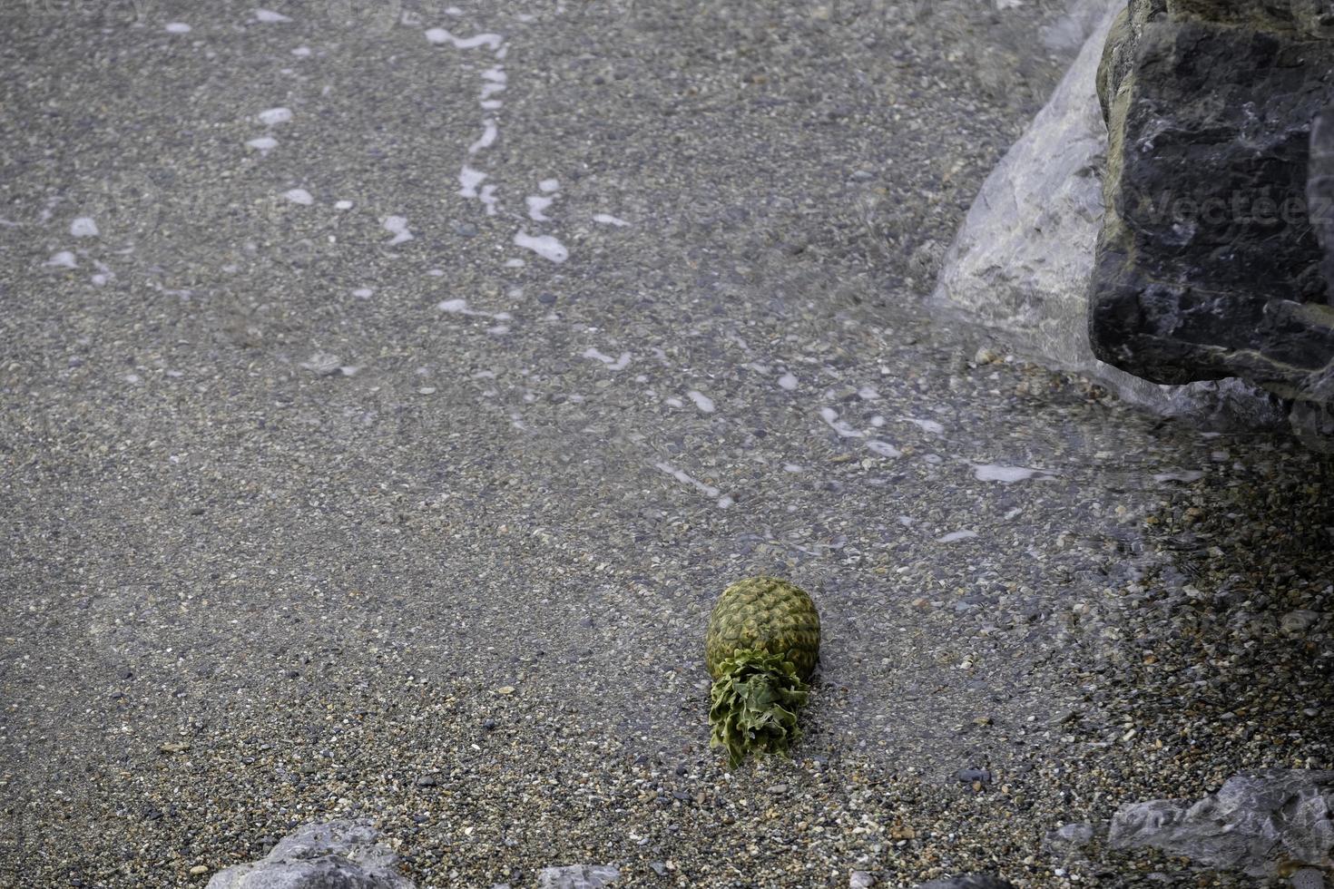 il frutto dell'ananas immerso nelle acque salate del mar ligure in italia foto