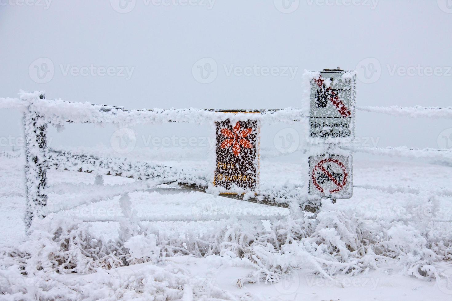 gelo invernale saskatchewan foto