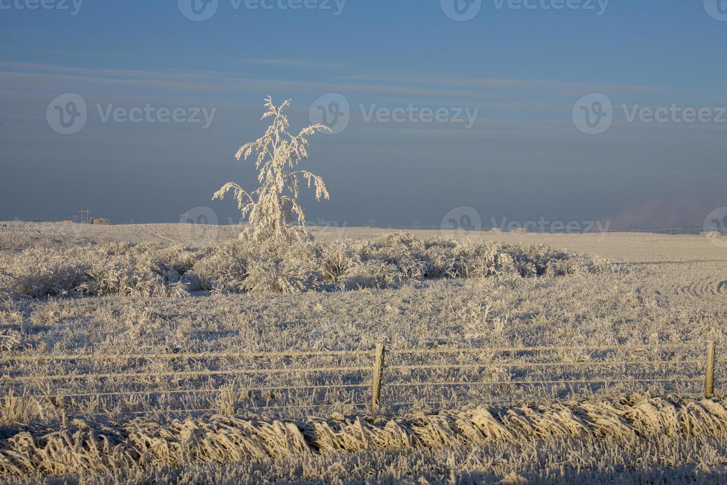 gelo invernale saskatchewan foto