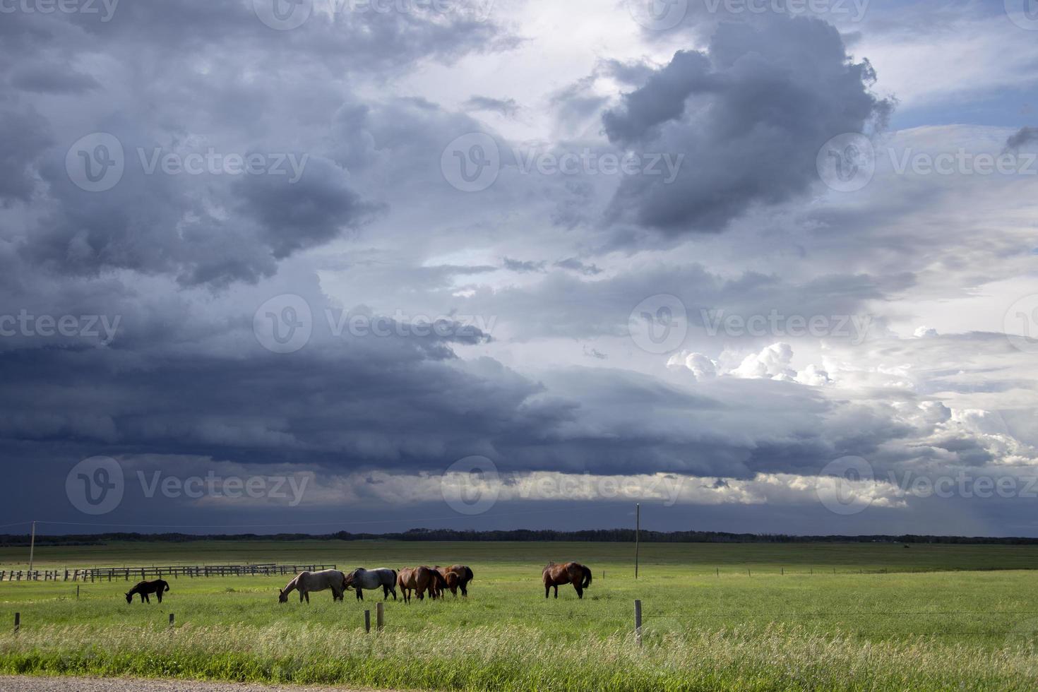 prateria nuvole temporalesche canada foto