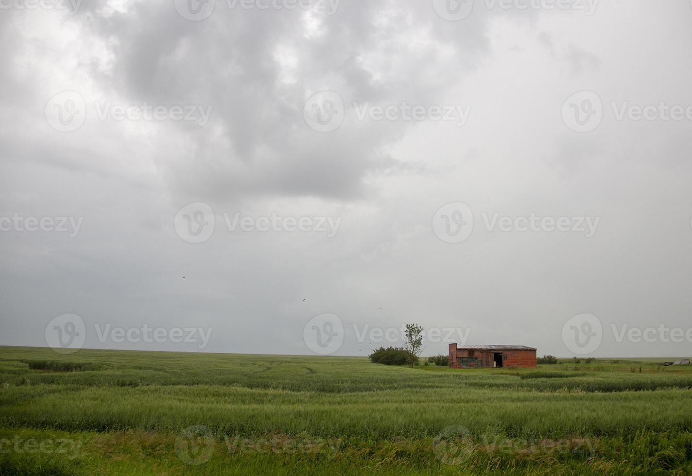 prateria nuvole temporalesche canada foto