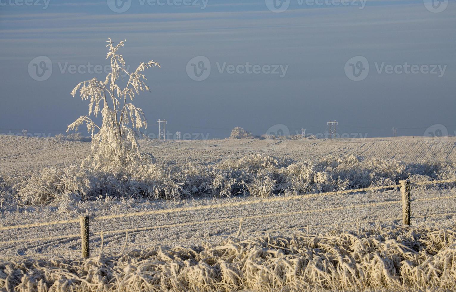 gelo invernale saskatchewan foto