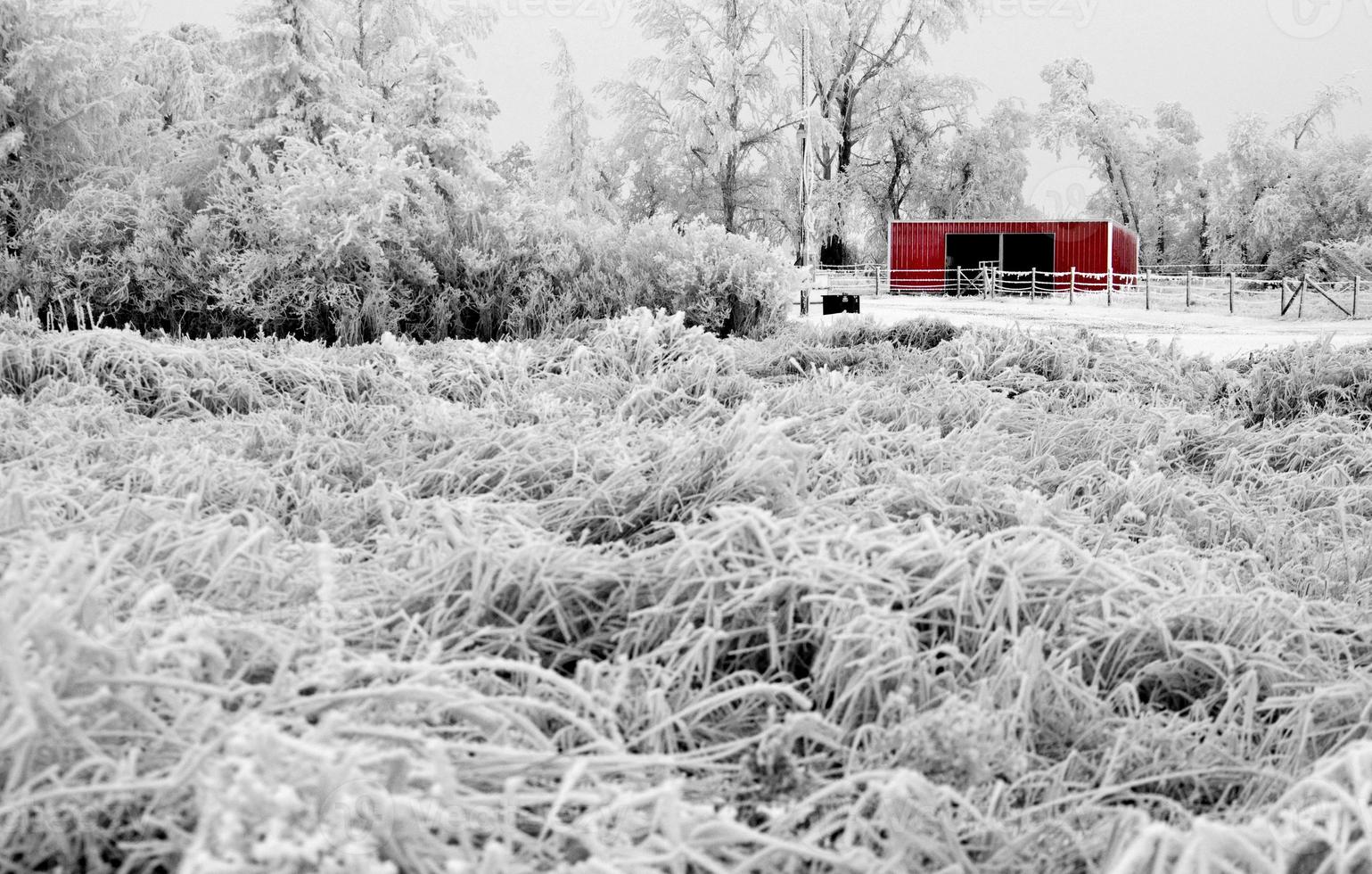 gelo invernale saskatchewan foto