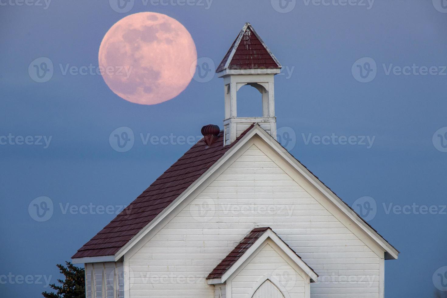 luna rosa piena foto