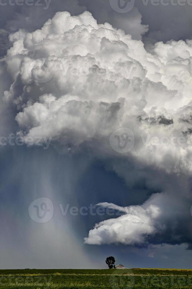 tempesta della prateria canada foto