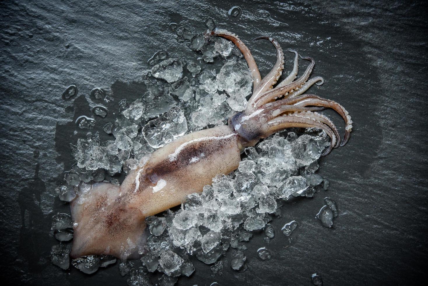 calamari di pesce su ghiaccio polpo fresco oceano calamari crudi gourmet con sfondo scuro ghiaccio nel ristorante foto