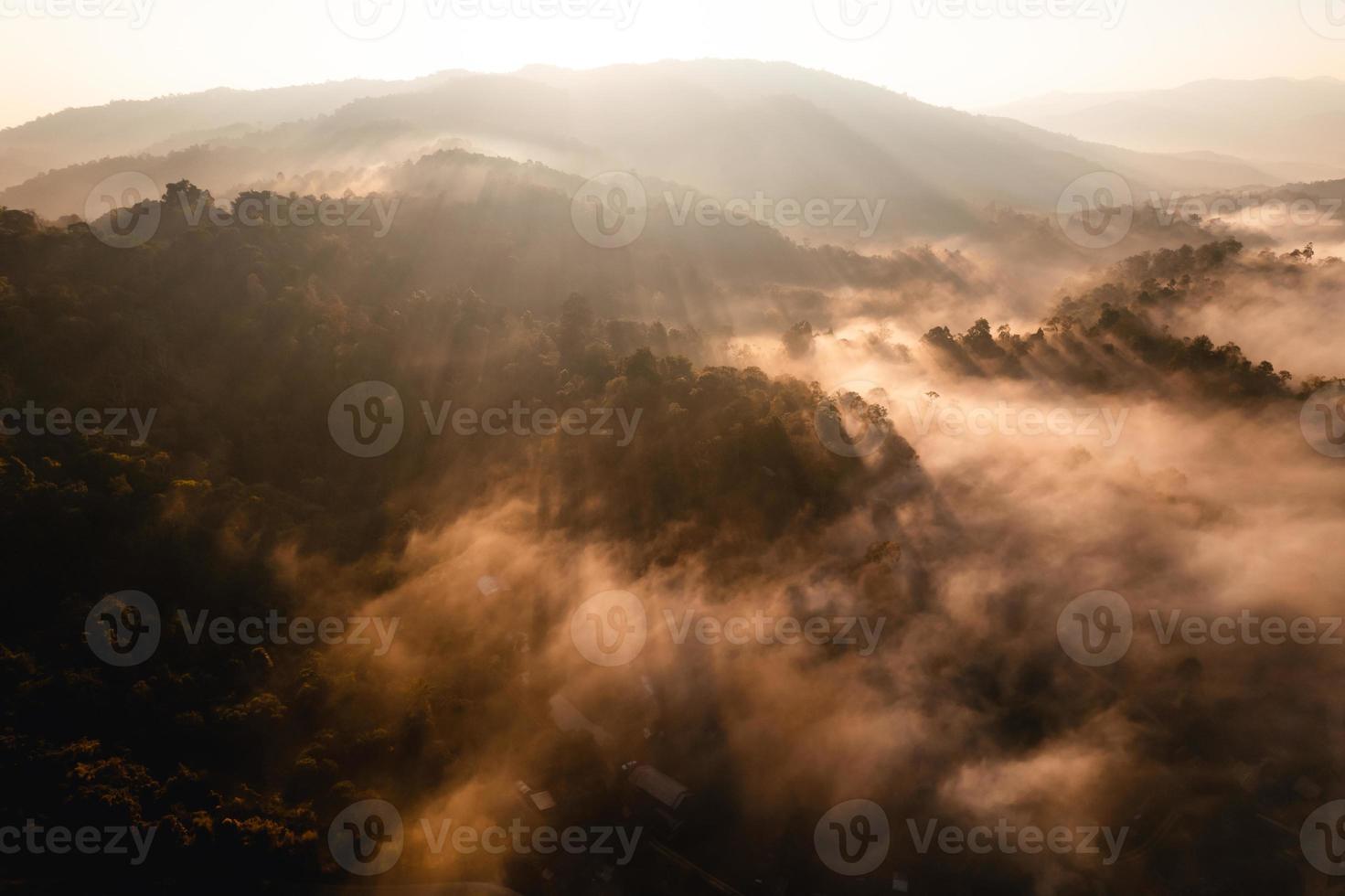 nebbia mattutina dorata nella foresta foto