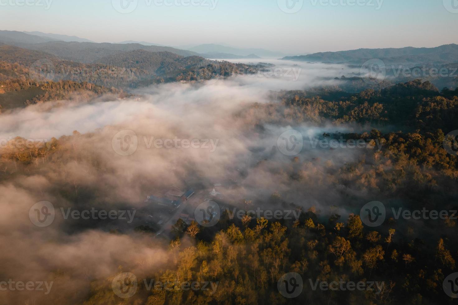 nebbia mattutina dorata nella foresta foto