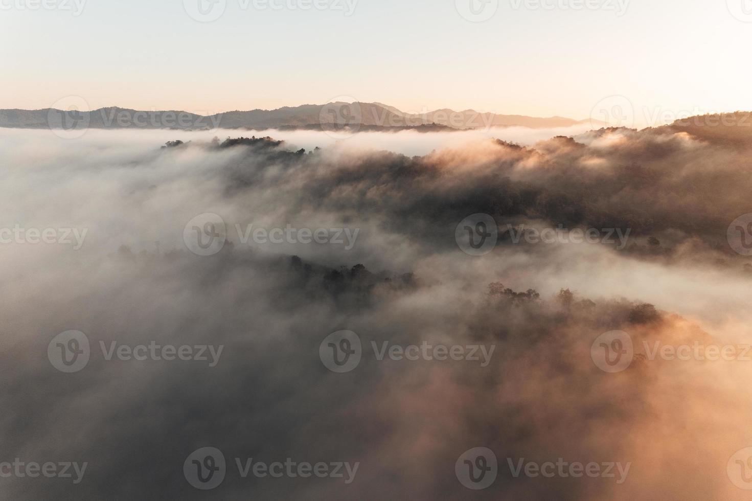 nebbia mattutina dorata nella foresta foto