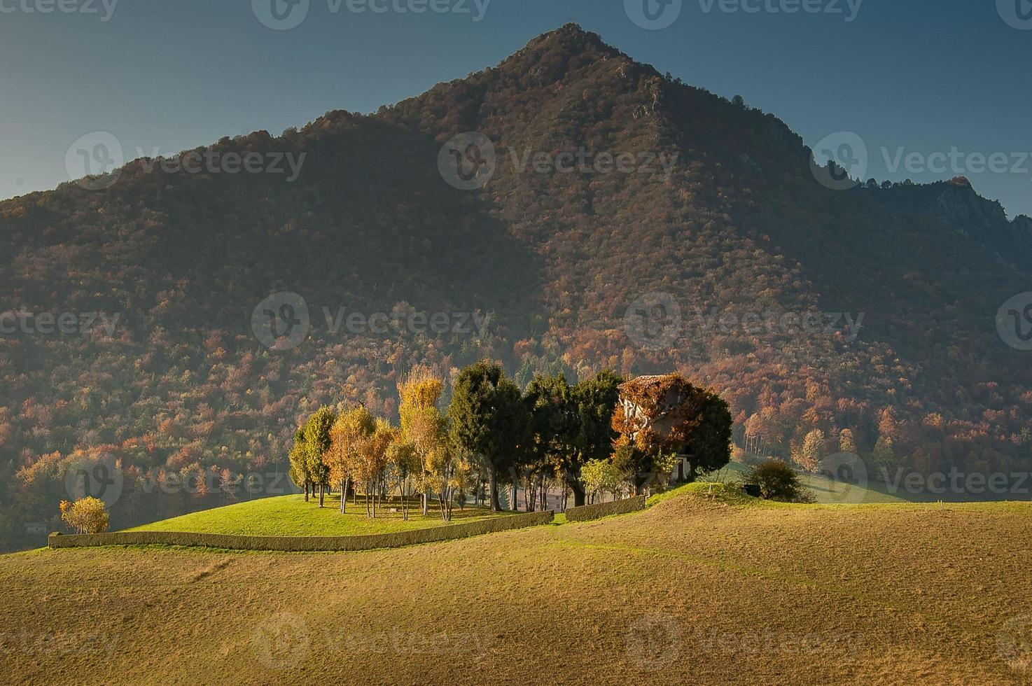 nascosto la caccia foto