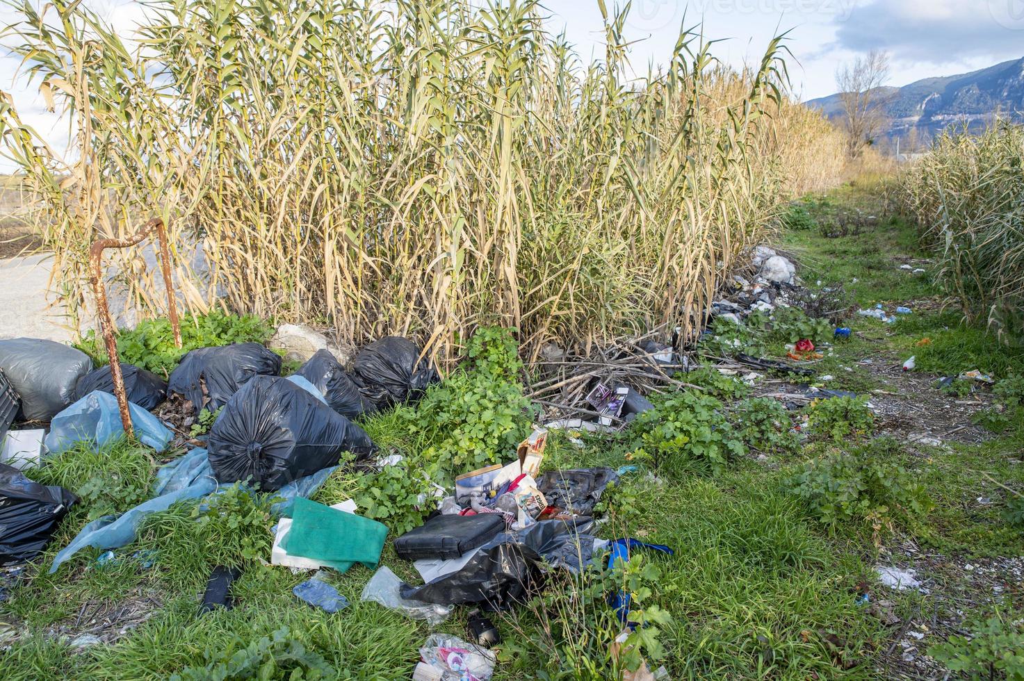 rifiuti abbandonati dalle persone lungo la periferia foto