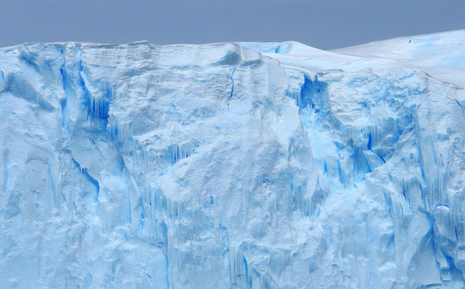 antartide campi di ghiaccio infiniti iceberg nel mare foto