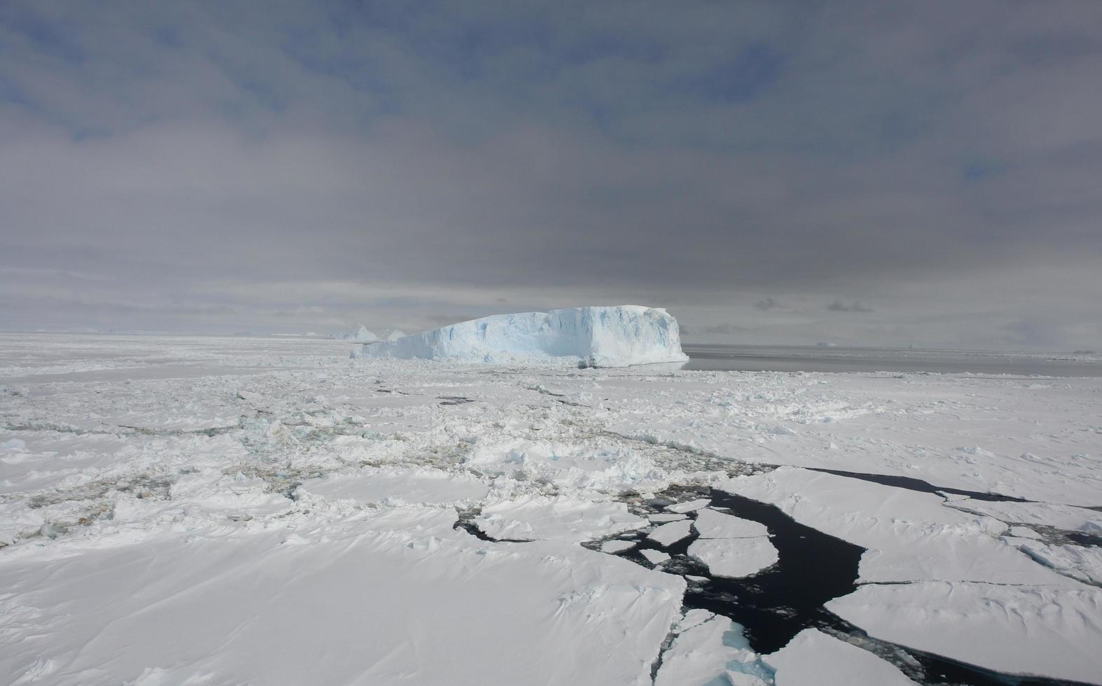 antartide campi di ghiaccio infiniti iceberg nel mare foto