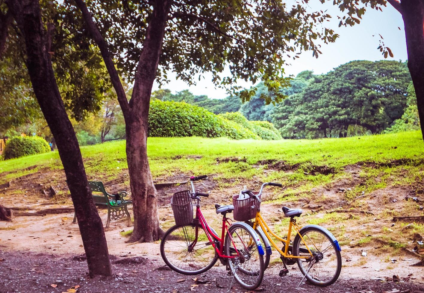 classica fermata per bicicletta vintage retrò nel parco pubblico di bangkok foto