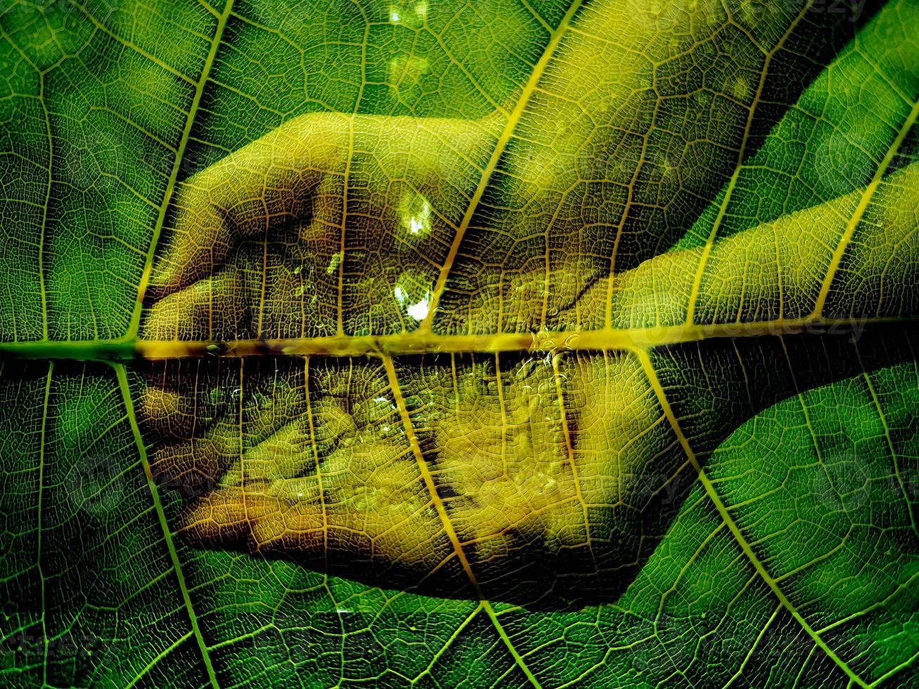 palmo della mano che cattura gli schizzi d'acqua foto