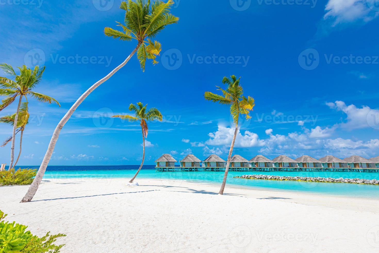 vista del paradiso dell'hotel resort tropicale di lusso. costa idilliaca, spiaggia di sabbia bianca, palme. design ispirato alla spiaggia delle Maldive, vacanze alle Maldive foto
